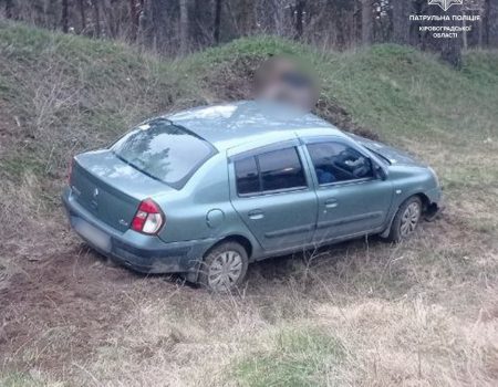 У Кропивницькому п’яна водійка злетіла в кювет. ФОТО