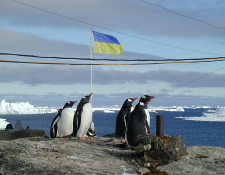 Прапор Кропивницького передадуть українській полярній станції в Антарктиді