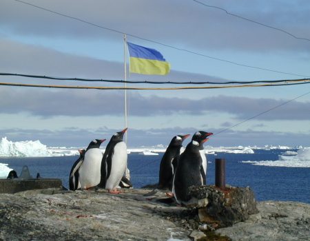 Прапор Кропивницького передадуть українській полярній станції в Антарктиді