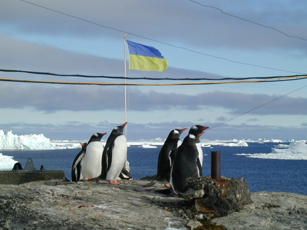 Прапор Кропивницького передадуть українській полярній станції в Антарктиді