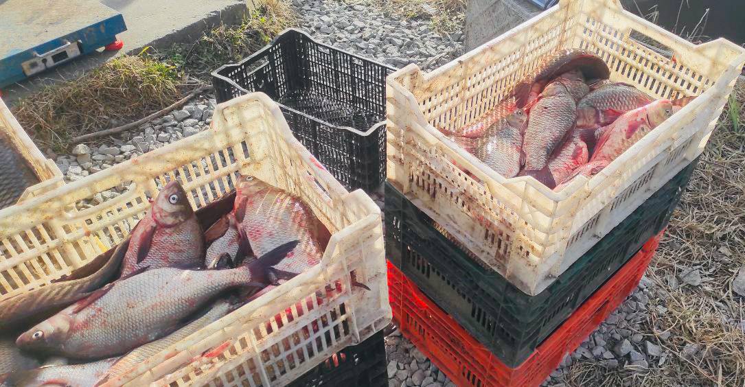 На Кіровоградщині рибалка хотів здати незаконний улов, натомість позбувся риби й човна. ФОТО