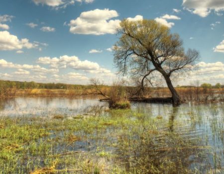 ДСНС попередило про затоплення прируслових територій двох водосховищ на Кіровоградщині