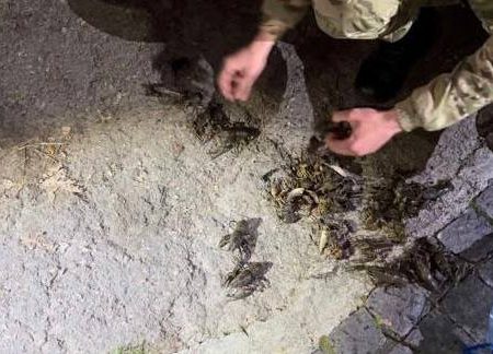 На Кіровоградщині любителя раків оштрафували на 93 тисячі гривень. ФОТО