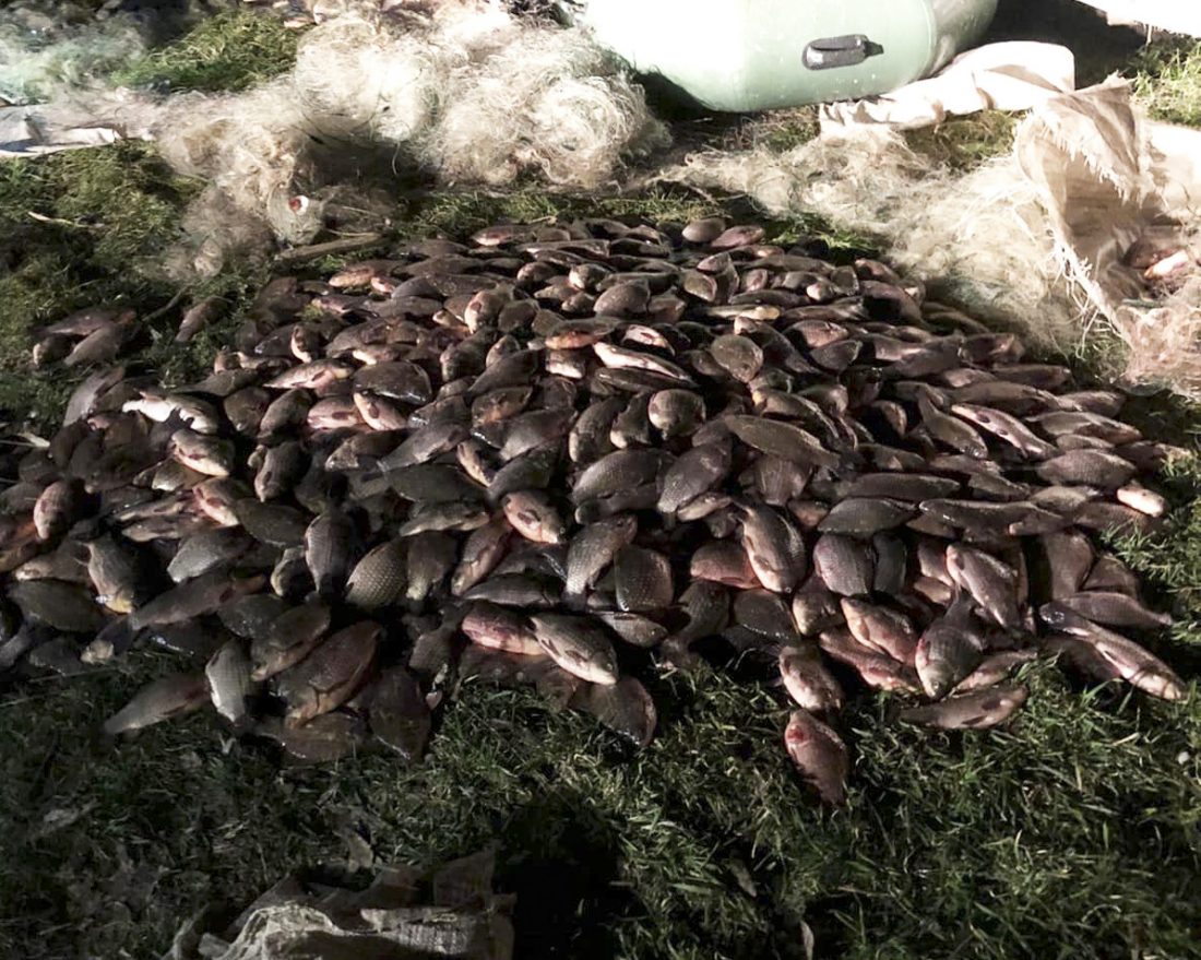 На Кіровоградщині двох браконьєрів підозрюють у незаконному вилові риби на 1,3 млн грн. ФОТО