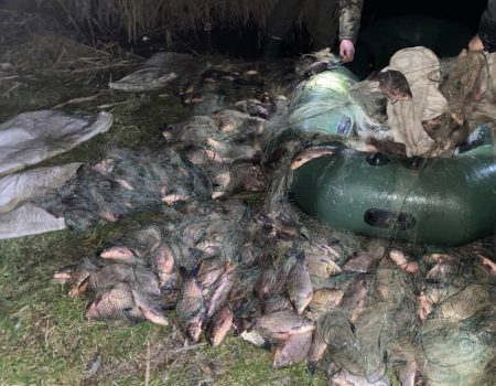 На Кіровоградщині двох браконьєрів підозрюють у незаконному вилові риби на 1,3 млн грн. ФОТО