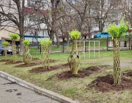 У Світловодську на Кіровоградщині висадили дерева зі стовбурами у формі різних фігур. ФОТО