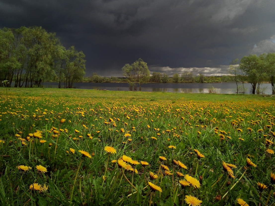 Сьогодні й завтра на Кіровоградщині прогнозують дощі з грозами