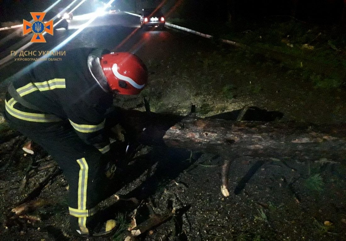 Зламане дерево й один постраждалий в лікарні &#8211; наслідки ДТП в Кропивницькому. ФОТО
