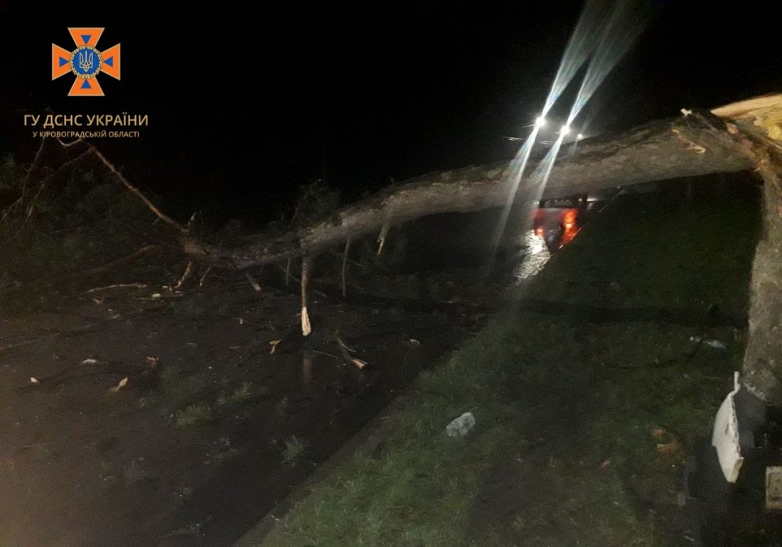 Зламане дерево й один постраждалий в лікарні &#8211; наслідки ДТП в Кропивницькому. ФОТО