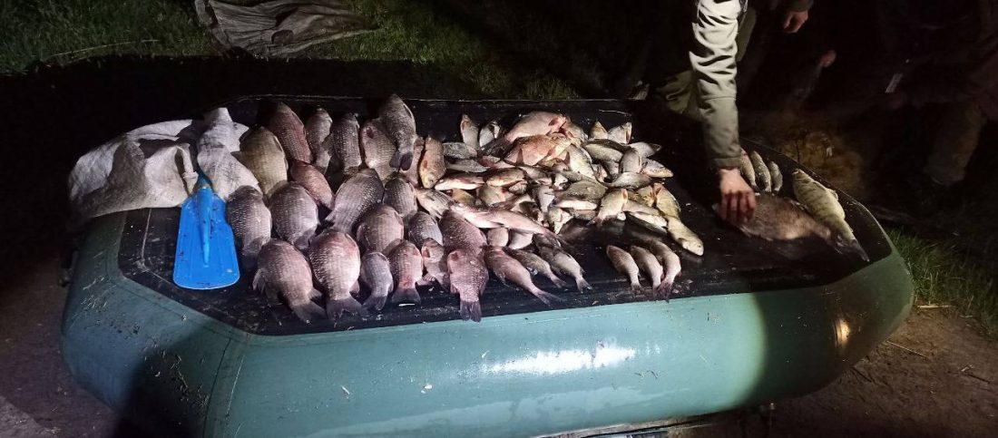 Під час операції «Нерест» на Кіровоградщині виявили 21 випадок незаконного вилову риби