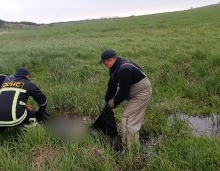 Правоохоронці встановлюють особу загиблого, тіло якого знайшли в ставку в Кропивницькому районі