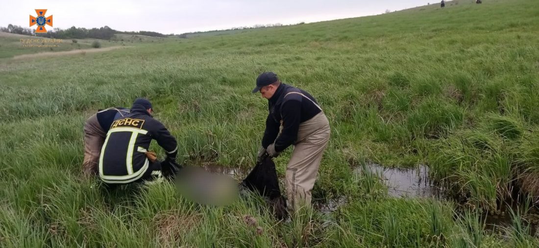 Правоохоронці встановлюють особу загиблого, тіло якого знайшли в ставку в Кропивницькому районі