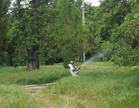 У Кропивницькому вперше за багато років обробили від кліщів 15 га зелених зон