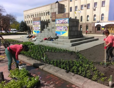 Центральну площу Кропивницького прикрасили у вигляді українського орнаменту 6 тисяч петуній