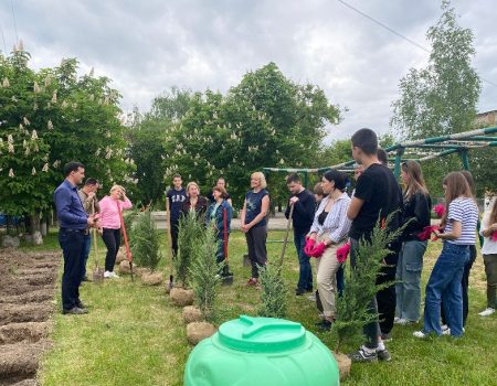 Замість кульок –  зелена алея: в Новгородці випускники започаткували екологічну ініціативу. ФОТО