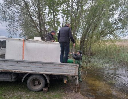 На Кіровоградщині зарибили водосховище