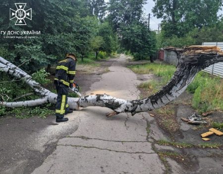 На Кіровоградщині під час негоди підтопило садибу, знесло балкон та повалило дерева. ФОТО