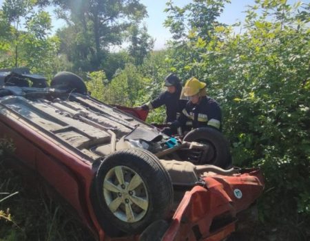 У ДТП на Кіровоградщині загинув водій та травмувалася пасажирка. ФОТО