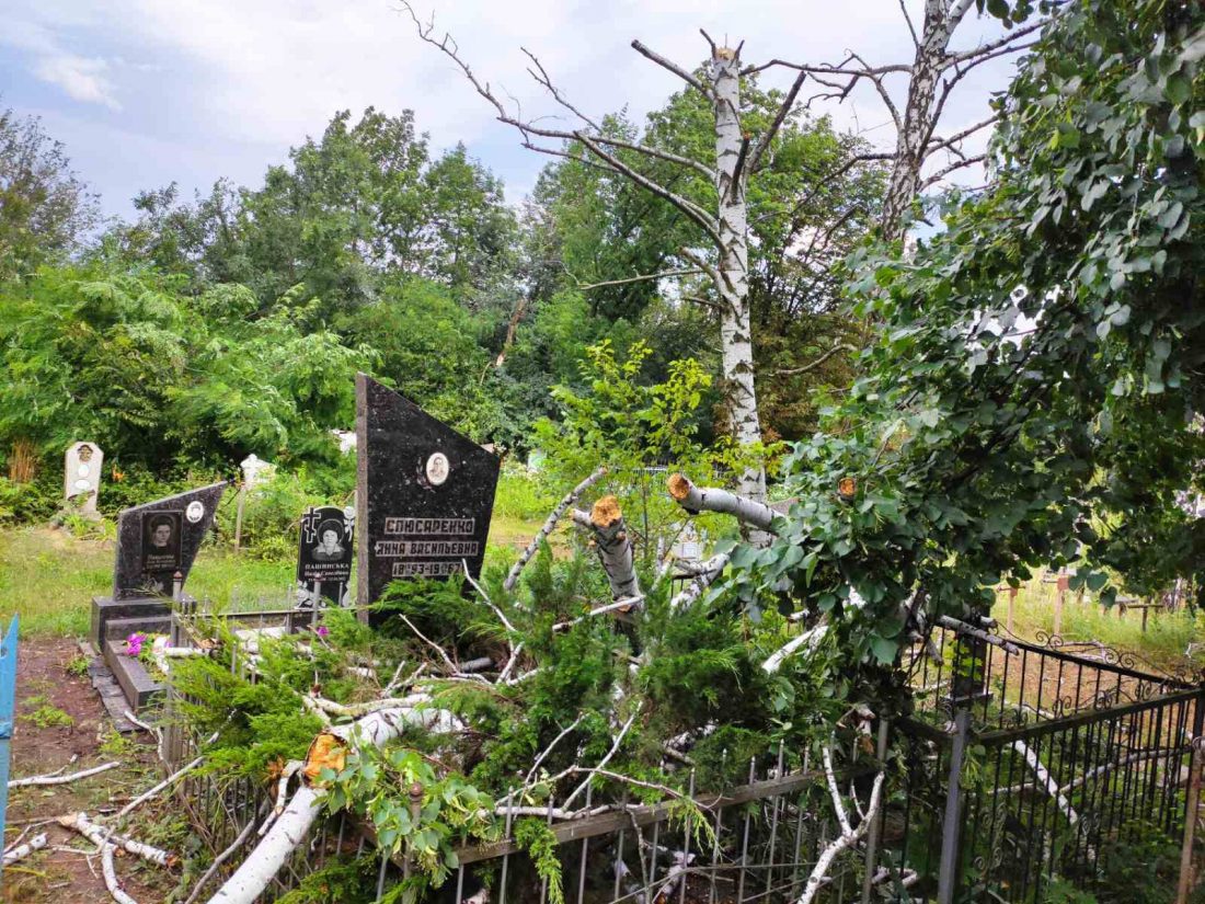 У селі на Кіровоградщині град побив городину, а вітер пошкодив дахи і повалив дерева. ФОТО