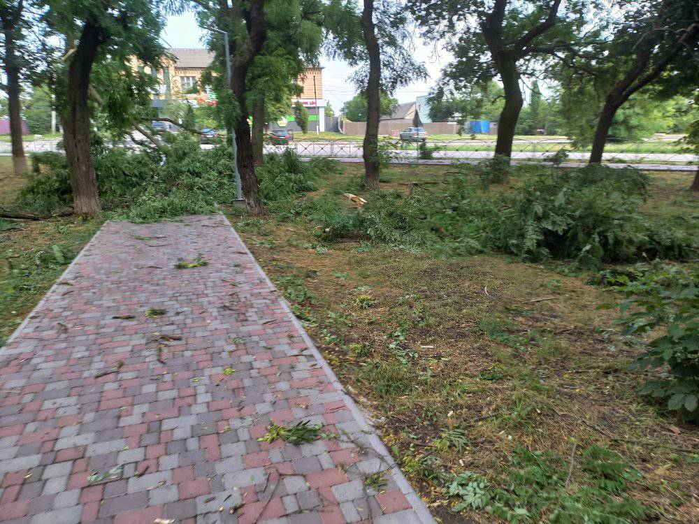 У селі на Кіровоградщині град побив городину, а вітер пошкодив дахи і повалив дерева. ФОТО
