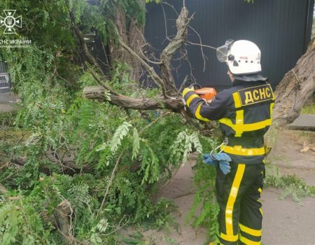 Вітер продовжує “прибирати” аварійні дерева на Кіровоградщині замість комунальників. ФОТО