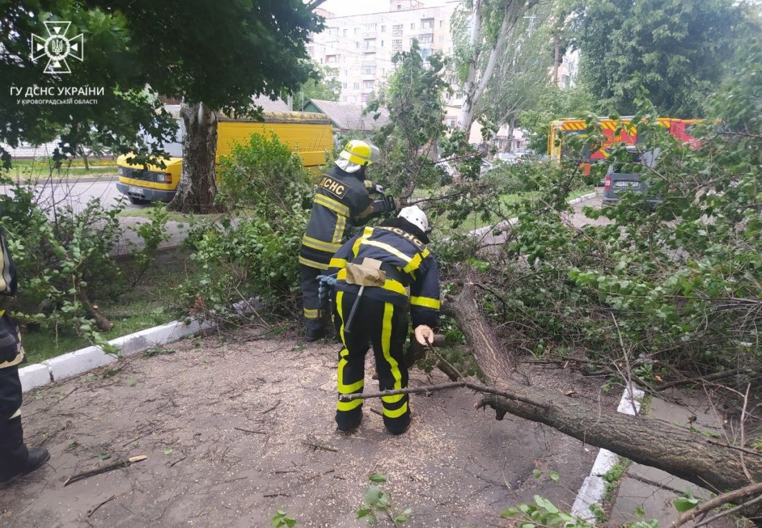 Вітер продовжує &#8220;прибирати&#8221; аварійні дерева на Кіровоградщині замість комунальників. ФОТО