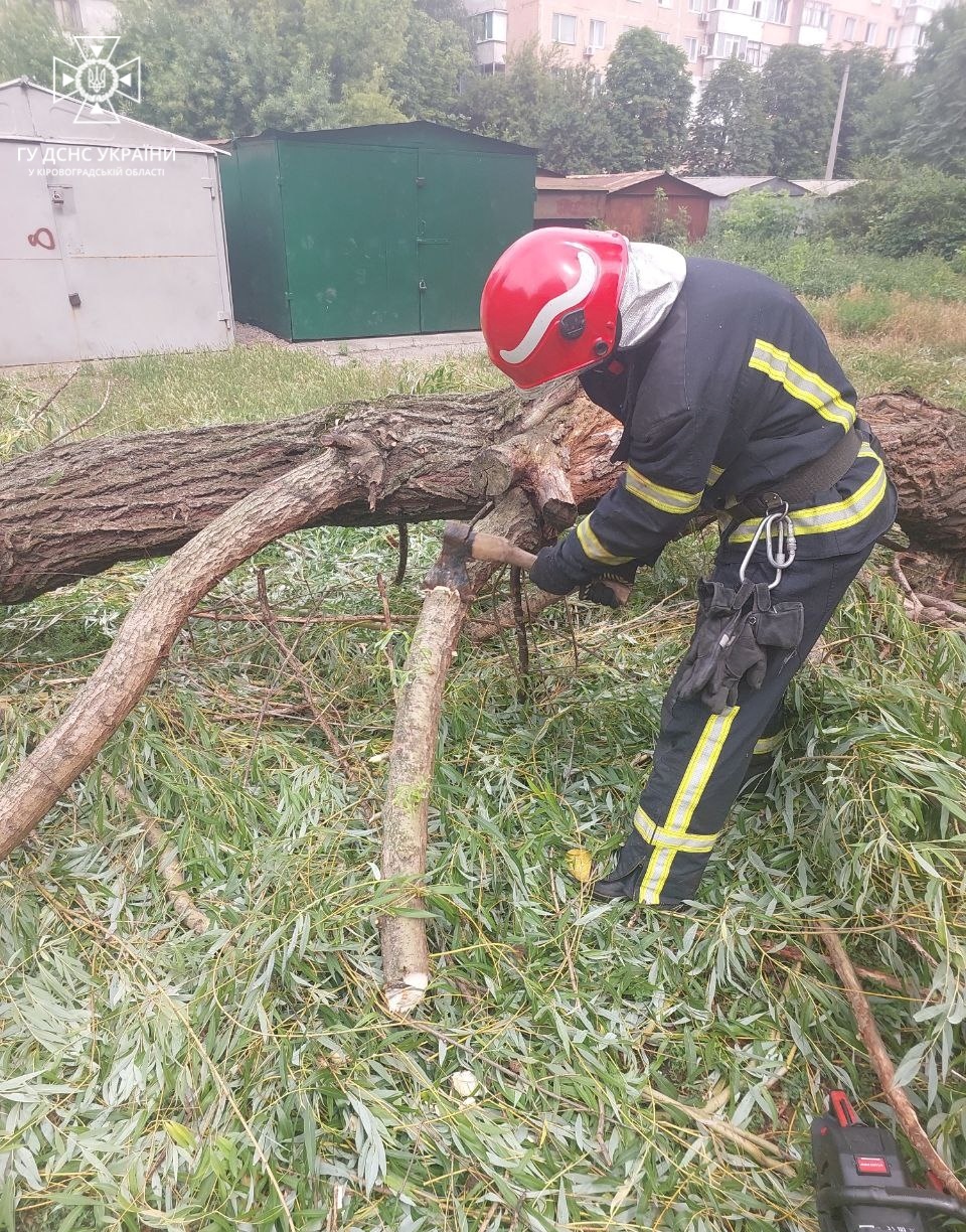 Вітер продовжує &#8220;прибирати&#8221; аварійні дерева на Кіровоградщині замість комунальників. ФОТО