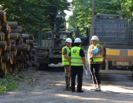 Агенти УЕБ проконтролювали відвантаження необробленої деревини покупцеві на Кіровоградщині