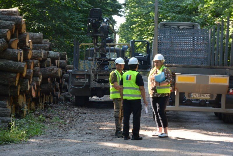Агенти УЕБ проконтролювали відвантаження необробленої деревини покупцеві на Кіровоградщині
