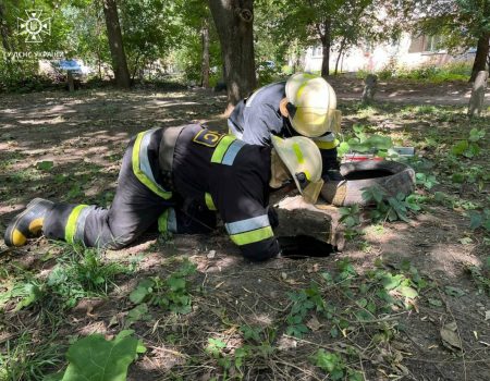 У Кропивницькому жінка впала до колектора. ФОТО