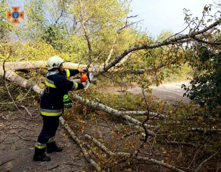 Рятувальникам довелося ліквідовувати наслідки негоди на Кіровоградщині. ФОТО