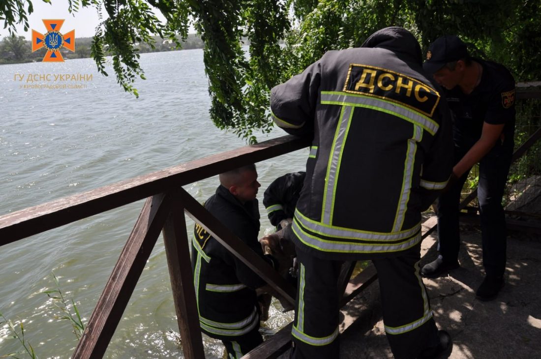 У Сугоклеї біля парку Перемоги в Кропивницькому втопився чоловік. ФОТО