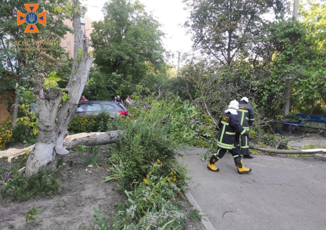 Негода пошкодила десяток дерев у Кропивницькому й Олександрії. ФОТО