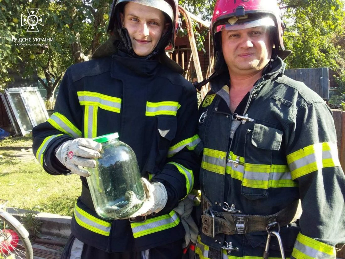 На Кіровоградщині рятувальники ловили у помешканні плазуна. ФОТО