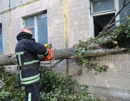 На Кіровоградщині 32 дерева не витримали вітру і білборд біля “МакДональдз” у Кропивницькому. ФОТО