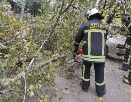 У Кропивницькому дерево впало на автівку волонтера. ФОТО