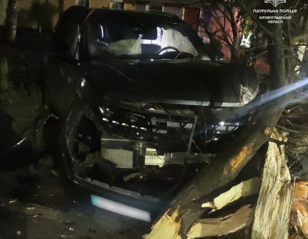 У Кропивницькому п’яний водій розбив свою автівку об дерево. ФОТО