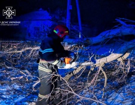 Наслідки негоди на Кіровоградщині: 184 населені пункти без електроенергії. ФОТО