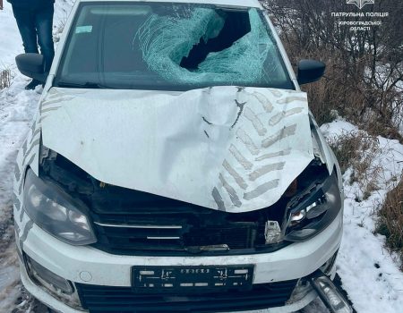 Кропивницькі патрульні розшукали водія, який зник із місця смертельної ДТП. ФОТО