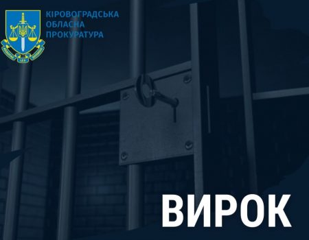 Водій, який у стані сильного сп’яніння на смерть травмував пішохода на Кіровоградщині, отримав вирок