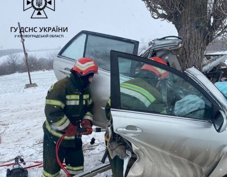 В селі на Кіровоградщині автівка врізалася в дерево, водій загинув. ФОТО