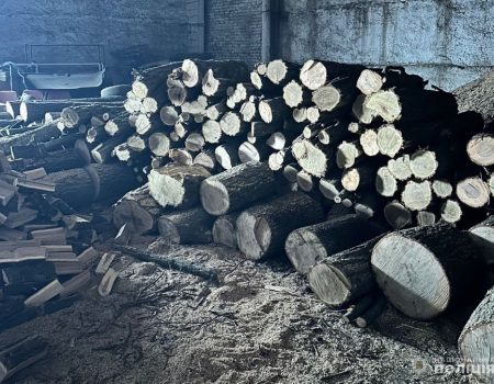 На Кіровоградщині “чорні лісоруби” напиляли дерев на понад мільйон гривень. ФОТО