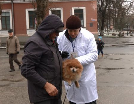 За два дні сотня кропивничан звернулася до державних ветлікарень, щоб щепити тварин проти сказу