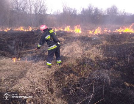 З початку року на Кіровоградщині вигоріло понад 23 га землі через підпал сухої трави