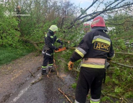 Рятувальники Кіровоградщини 34 рази виїжджали для прибирання повалених стихією дерев. ФОТО