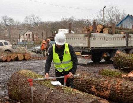 Агенти УЕБ здійснили контроль передачі реалізованої необробленої деревини покупцеві на Кіровоградщині