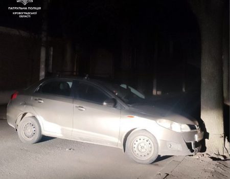 У Кропивницькому п’яний водій під час комендантської години в’їхав у дерево. ФОТО