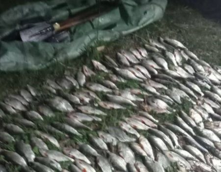 Понад 300 тис. грн шкоди рибному господарству завдав браконьєр на Кіровоградщині