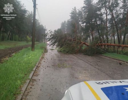 У Кропивницькому ускладнено рух на кількох вулицях через повалені негодою дерева