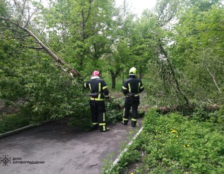 У лікарні в одній з громад Кіровоградщини відкрили оновлене реабілітаційне відділення. ФОТО